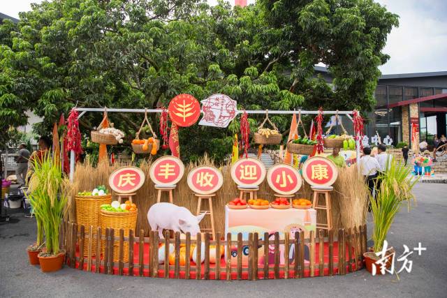 南方农村报             拍摄