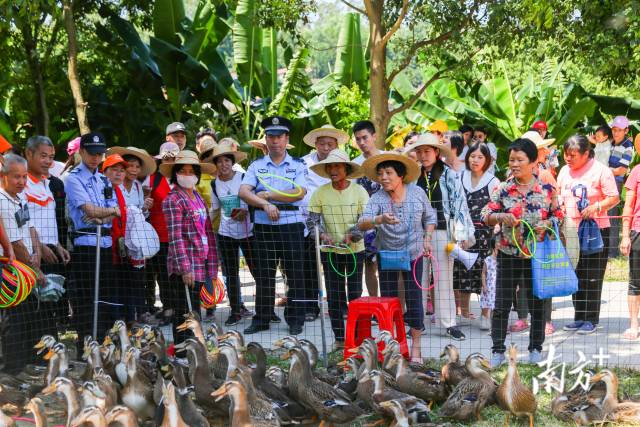 南方农村报             拍摄