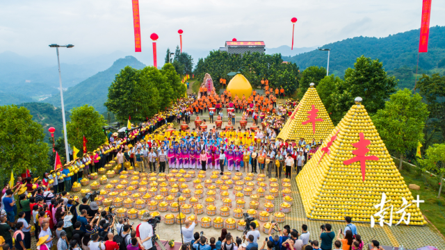 南方农村报             拍摄