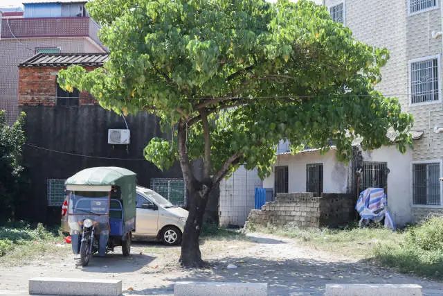 村内干净整洁。 汪旭莹 摄 图片