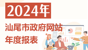 2024年汕尾市政府网站年度报表